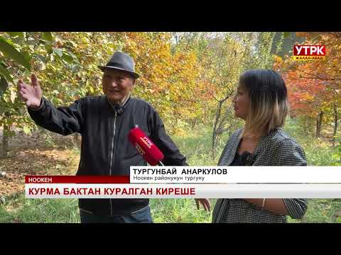 Видео: Курма бактан куралган киреше