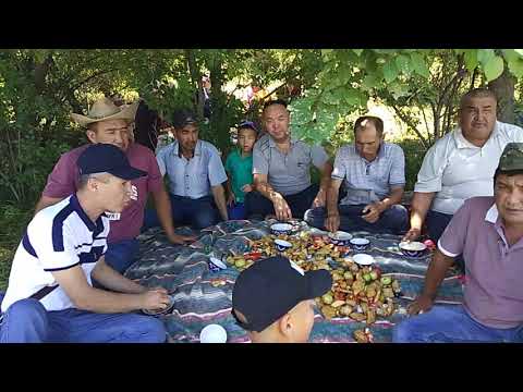 Видео: Досмат той6