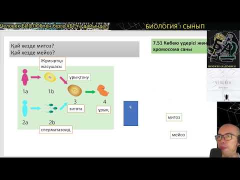 Видео: 7.51 Көбею үдерісі және хромосома саны 2