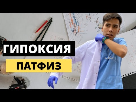 Видео: ГИПОКСИЯ ДЕГЕН НЕ?| ПАТОФИЗИОЛОГИЯ