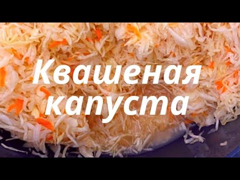 Видео: Ең оңай квашеная капуста. Қазақша рецепт.