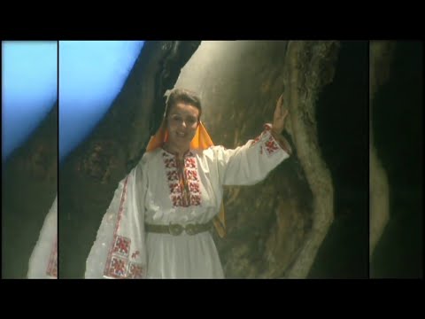 Видео: ОЛГА БОРИСОВА - ПЛАДНИНА Е БРАТКО  OLGA BORISOVA - PLADNINA E BRATKO