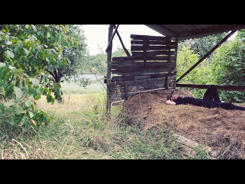 Видео: КУПИЛ УЧАСТОК В ДЕРЕВНЕ С ДОМОМ! Что меня ждет?? Куча работы... Экскурсия по територии