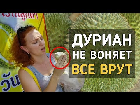 Видео: Король фруктов на вкус.  Дуриан свел с ума. / Durian / Паттайя