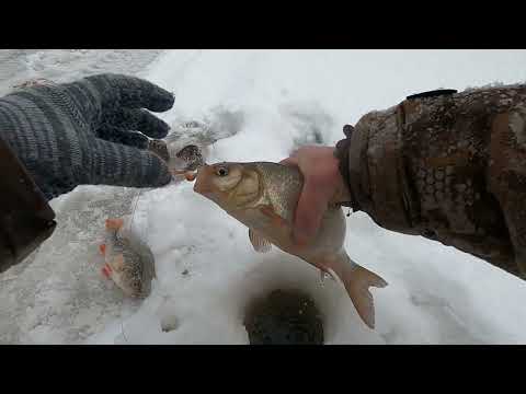 Видео: КИНУЛ-ВЫНУЛ, ОТПУСТИЛ И СНОВА ЛУНКУ ПРОБУРИЛ, ОКУНЬ НАШЁЛСЯ И СОРОГА С ЯЗЁМ ПОРАДОВАЛИ НА РЫБАЛКЕ!
