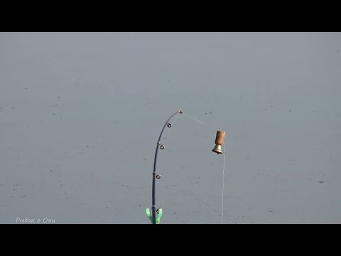 Видео: ЭТА ДОНКА ВСЕГДА ЛОВИТ ЛЕЩА! Поклевки крупным планом! Рыбалка на ФЛЭТ КОРМУШКИ на ОКЕ !