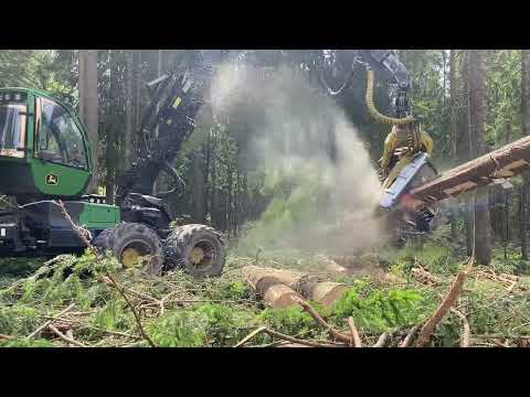 Видео: Такой Лес пилить одно удовольствие ..