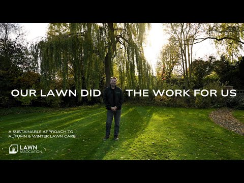 Видео: НАШ ЛУЖАЙКА СДЕЛАЛА ВСЮ РАБОТУ ЗА НАС | Природа берёт инициативу на себя | Ассоциация газонов