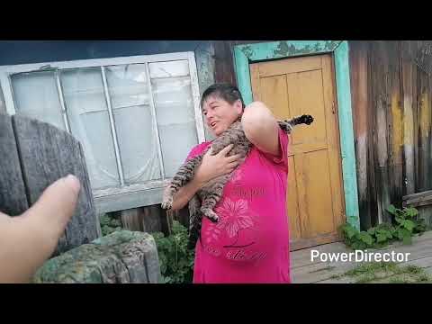 Видео: Жизнь в глубинке. Что у ТанюшЕ в теплице. 