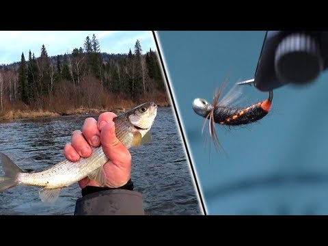 Видео: Мушка ДНК. Проверена по Хариусу. Видео с Рыбалкой