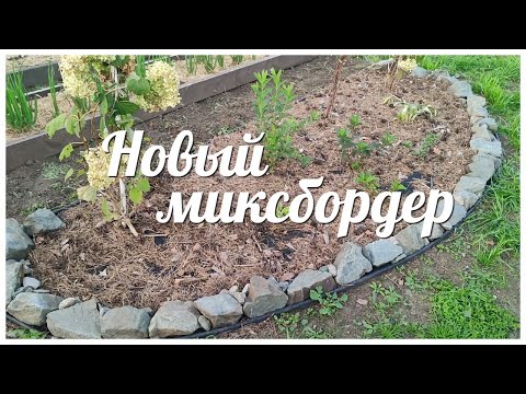 Видео: Создаю МАЛОУХОДНЫЙ сад / Сделала НОВЫЙ МИКСБОРДЕР / Новые РАСТЕНИЯ