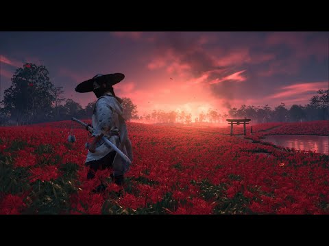 Видео: Ghost of Tsushima - ошибка F16C, как исправить?