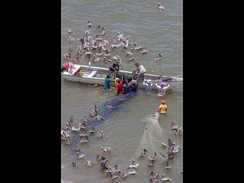 Видео: Русский Голос Америки 29октября, 2025.