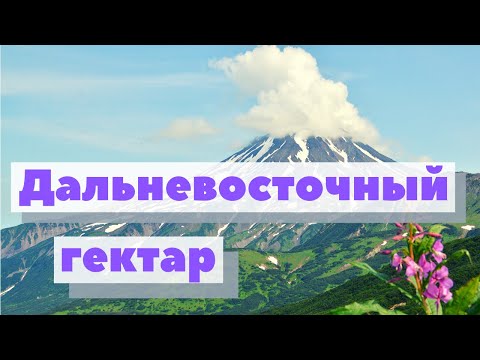 Видео: Дальневосточный гектар | Как это сделано