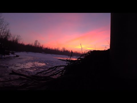 Видео: Де риба? Річка Прут.