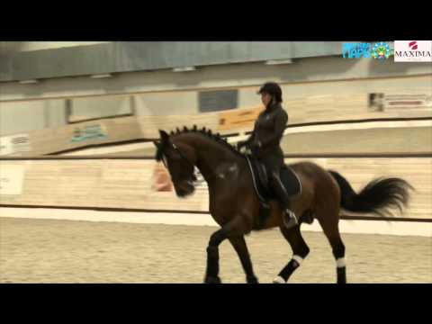 Видео: Семинар по выездке (Катрина Вюст) @ Maxima Stables