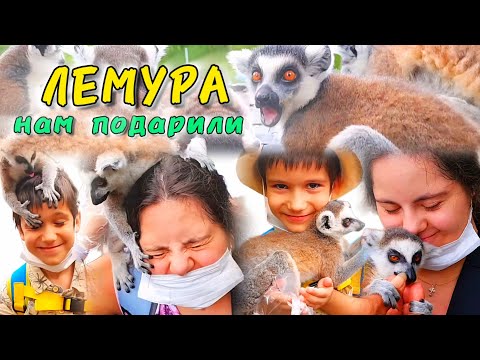 Видео: Остров ЛЕМУРОВ в Кхао Кхео