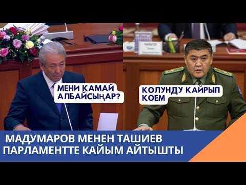 Видео: Адахан Мадумаров менен Камчыбек Ташиев кайым айтышты