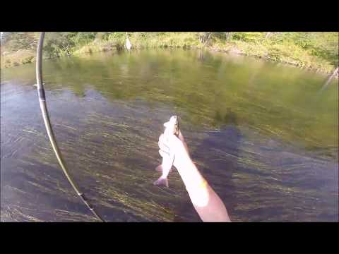 Видео: Снасть на хариуса.Ловля хариуса в последние теплые дни сентября.