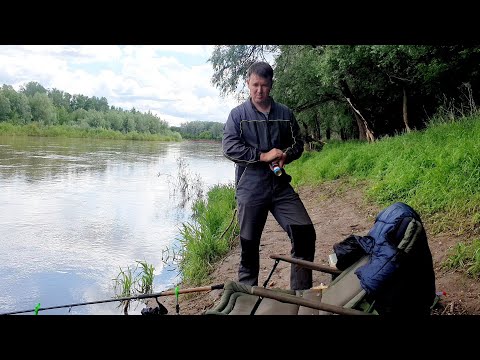 Видео: КУРИНАЯ ПЕЧЕНЬ НА СТРУЕ. РЫБАЛКА НА ДОНКУ С АССИМЕТРИЧНОЙ ПЕТЛЁЙ