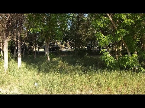 Видео: Пешая прогулка. Семей. Дельфин. Юбилейный.