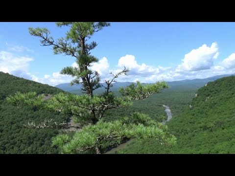 Видео: Ущелье Дарданеллы, август 2025 г.