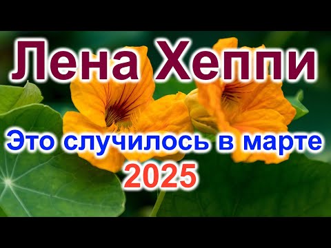 Видео: Лена Хеппи.Март разрушил все планы на счастье