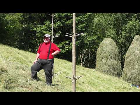 Видео: ЛІТО 2021 ОКОЛИЦЯМИ МІСТА ТУРКА