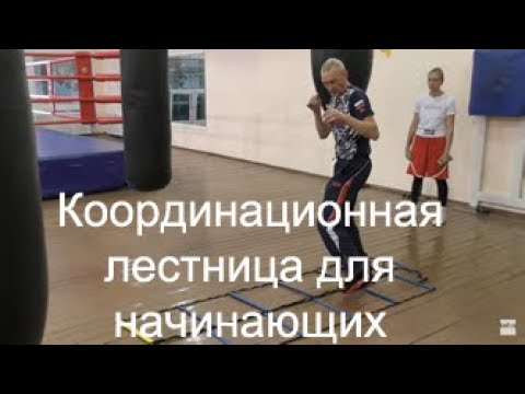 Видео: Бокс: координационная лестница для начинающих/Boxing: aguility ladder for beginners.