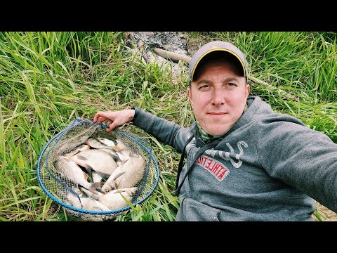 Видео: Рыбалка на Угре. Фидерная ловля на реке весной в мае 20.05.2023