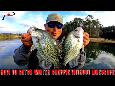 Видео: Как поймать зимнего краппи без прицела