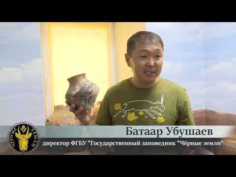 Видео: Удивительное рядом  Фильм о заповеднике Черные земли
