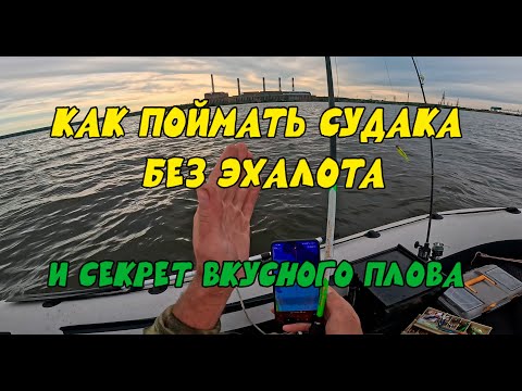 Видео: Как ловить и искать судака без эхолота