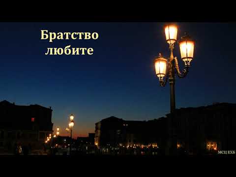 Видео: "Братство любите". Н. С. Антонюк. МСЦ ЕХБ
