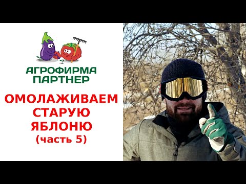 Видео: ОМОЛАЖИВАЕМ СТАРУЮ ЯБЛОНЮ. ФОРМИРОВАНИЕ КРОНЫ. (часть 5)