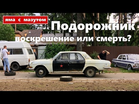 Видео: Подорожник - воскрешение или смерть?