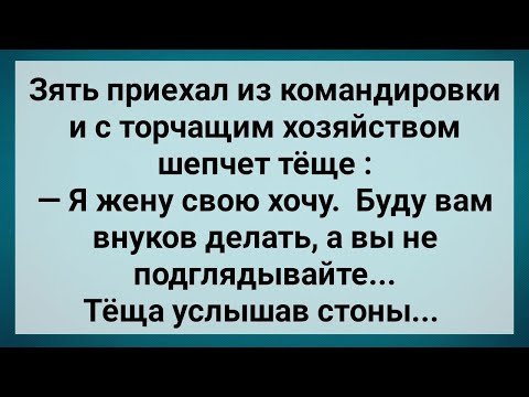 Видео: Зять Приехал из Командировки и Хочет Жену! Сборник Свежих Анекдотов! Юмор!.