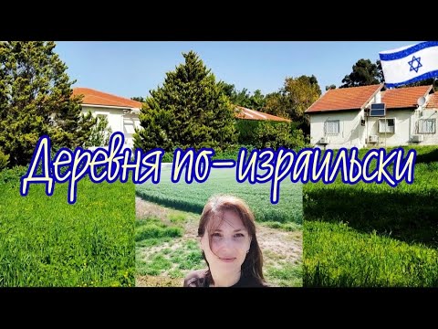 Видео: Как выглядит деревня в Израиле? Мошав Бицарон.