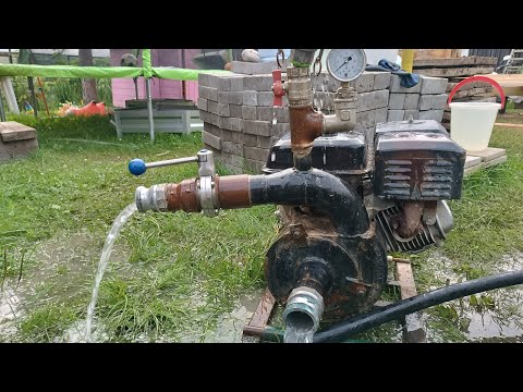 Видео: Поймали редкий мощный водонос