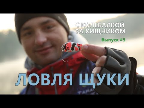 Видео: C колебалкой за хищником, выпуск #3, Ловля щуки