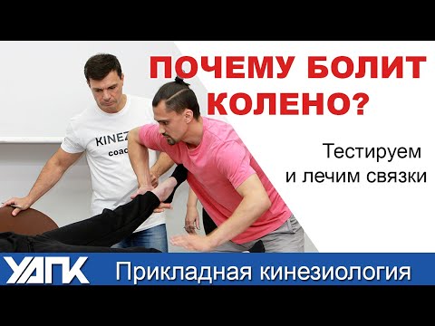 Видео: Почему болит колено? Лечим связки (Часть 1)