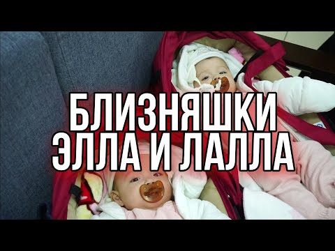 Видео: ДЕНЬ С БЛИЗНЯШКАМИ ЭЛЛА И ЛАЛЛА В АЛМАТЫ - 4