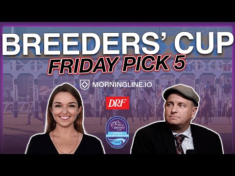 Видео: 🏇🏆 Пятничный отбор на Кубок заводчиков | 31 октября 2025 г.