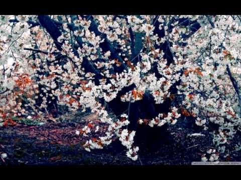 Видео: Валентина Рязанова - ЛЮБОВНИЦА (муз. и сл. В. Караблина)