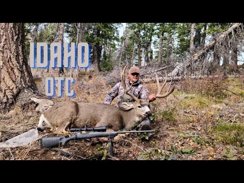 Видео: Охота на оленей в Айдахо 2021