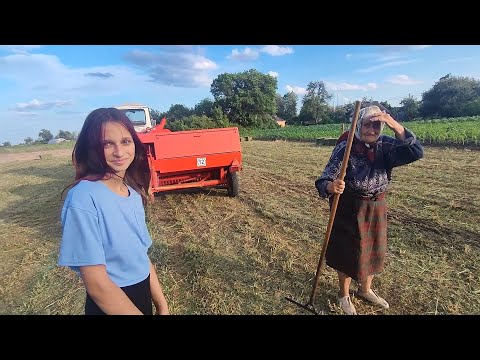 Видео: Тривожний сезон заготівлі кормів 2025