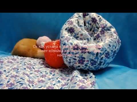 Видео: 17 октября 2025 г.