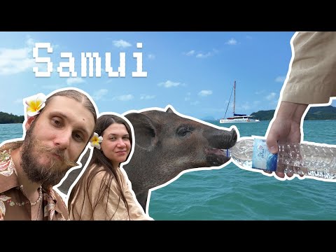 Видео: 🇹🇭 Поросята и красивые храмы — путешествие на Самуи, Тайланд (Koh Samui, Thailand)