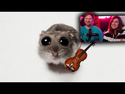 Видео: ГРУСТНЫЙ ХОМЯК😢 — ОТКУДА МЕМ? | РЕАКЦИЯ на небуди