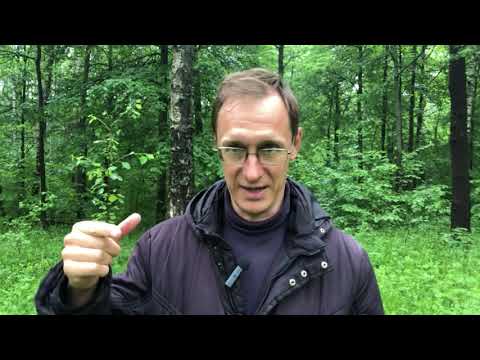 Видео: Почему выгодно приобретать дорогие вещи? Я не так богат, чтобы покупать дешёвое